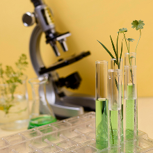 Microscope