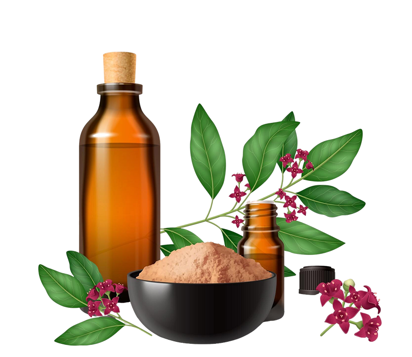 Ayurvedic Products