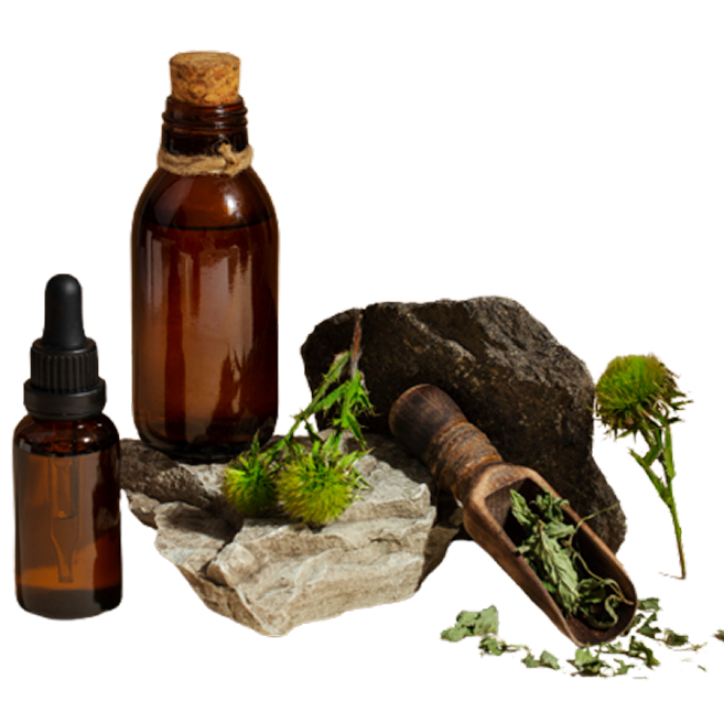Ayurvedic Manufacturing Support